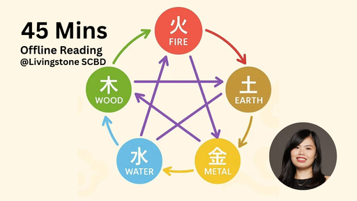 Bazi 45 Minutes Session in person with Tiffani